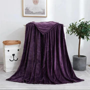 Super Soft 240 GSM Micro Fleece AC Blanket - Purpish Heaven